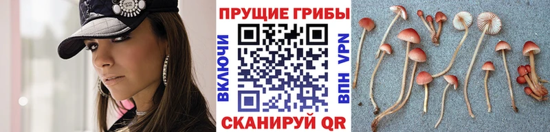 Псилоцибиновые грибы мухоморы  купить   Донской 